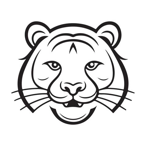 Tiger Vector 的图像结果