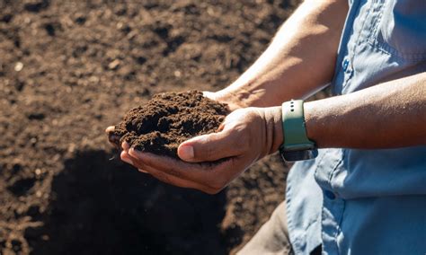 Image result for Large-Scale Composter