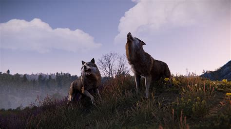 Polish and Progress - News — Rust