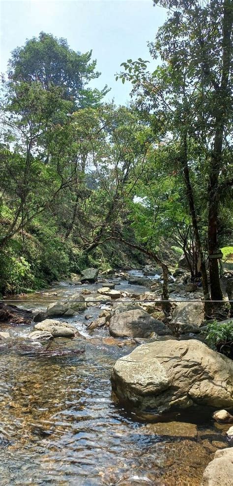 CIBULAO WATERFALL (2026) All You Need to Know BEFORE You Go (with ...