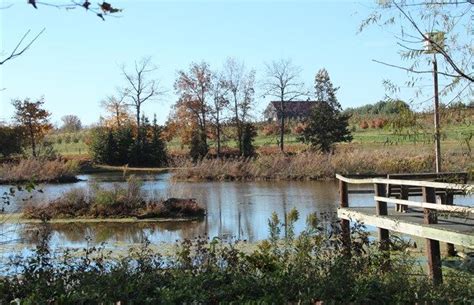 Lake Shelby Campground Kentucky: RV Camping & Cabin Rentals