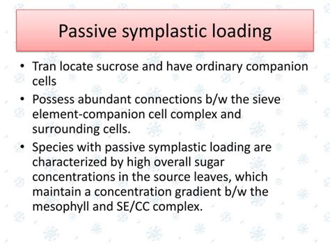 Phloem Loading a Level 的图像结果