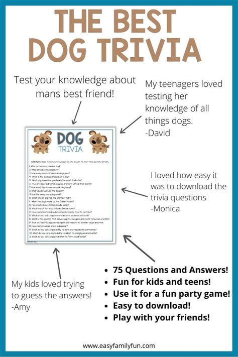 Dog Questions 的图像结果