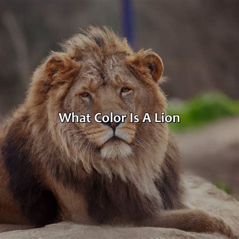 What Color Represents New Beginnings - colorscombo.com