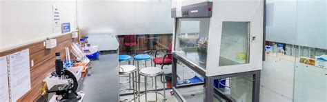 B.Tech Biotechnology at GEU | Biotechnology Engineering Program