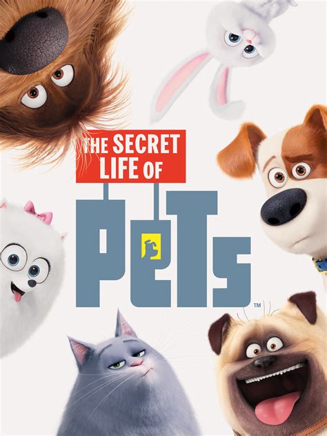 The Secret Life of Pets: Official Clip - Max Meets Duke - Trailers ...