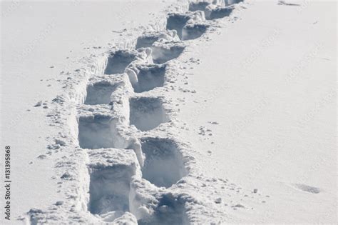 Image result for Snow Runner Step Sides