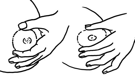 Image result for Hand Express Tips