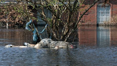 Dead Bodies From Katrina Hurricane Katrina Anniversary: 40 Powerful