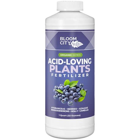 Amazon.com : Bloom City's Acid-Loving Plant Fertilizer - Soil Acidifier ...