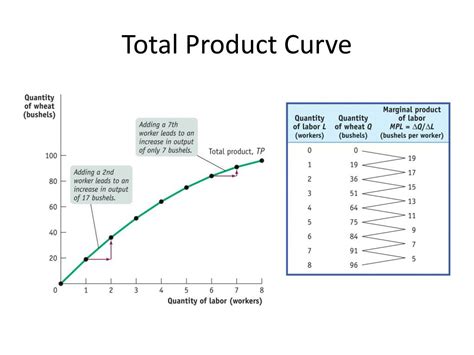 Total Production Table 的图像结果