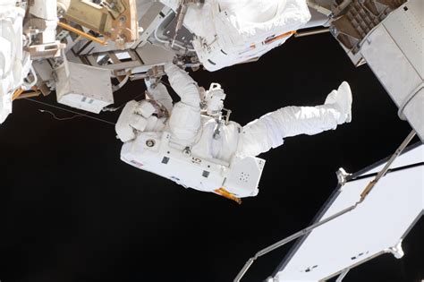 Image result for Spacewalk Live