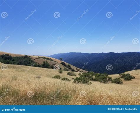Hiking the Monte Bello Open Space Preserve Stock Photo - Image of ...