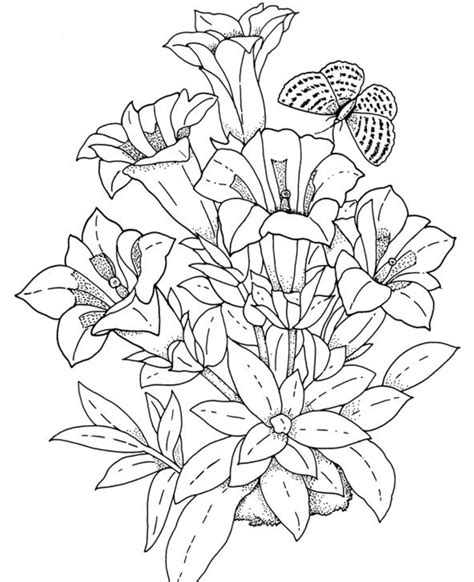 Realistic Flower Coloring Pages at GetColorings.com | Free printable ...