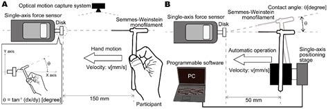 Buckling Force Variability of Semmes–Weinstein Monofilaments in ...