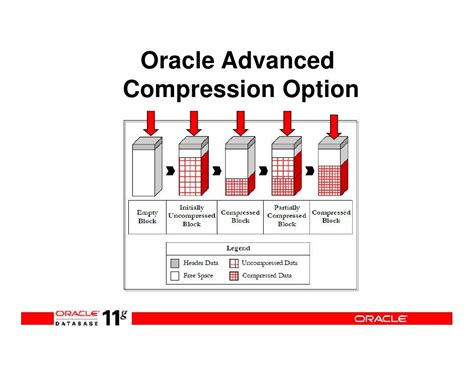 Image result for Oracle Advanced Security