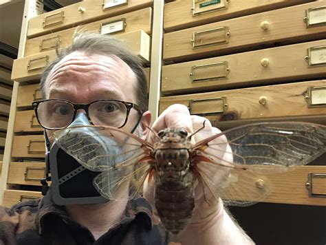 UM Today | Faculty of Agricultural and Food Sciences | UM in the News ...