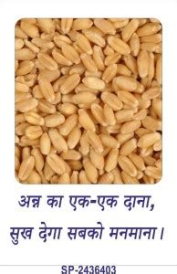 SignageShop Do not waste Food Poster Emergency Sign Price in India ...