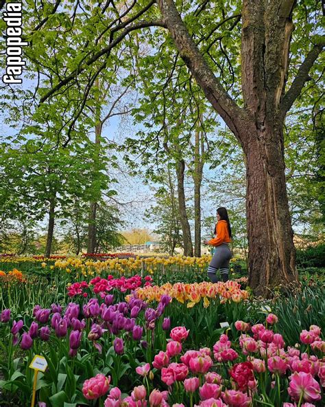 Yuggie_TV Nude Leaks - Photo #8728680 - Fapopedia