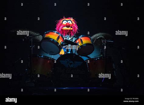 Image result for Muppets O2 Highlights