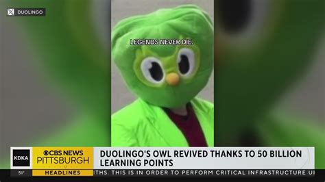 Duo the owl mascot revived. Duolingo declares, "legends never die." - CBS Pittsburgh