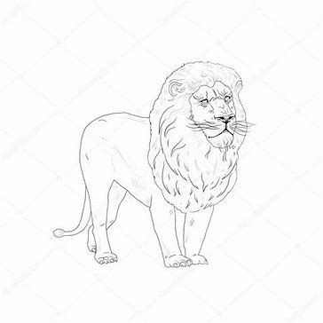 tutorial pencil sketch tutorial for beginners