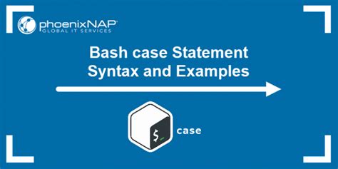 Image result for Shell Case Statement