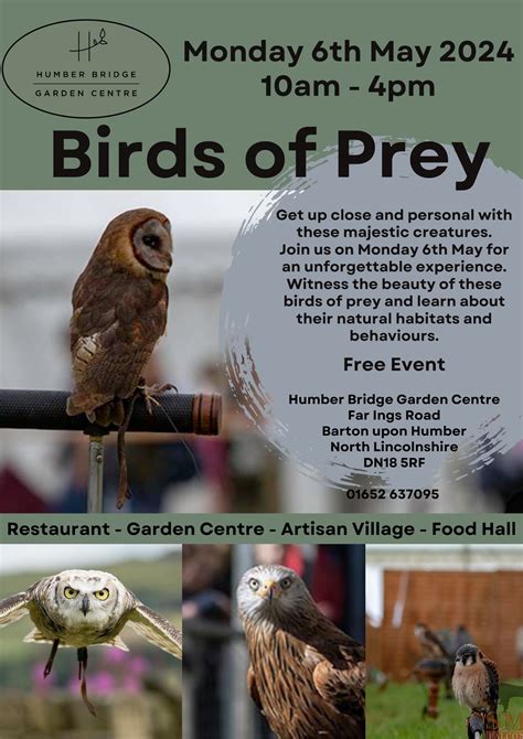 Bird of Prey Display at Humber Bridge Garden Centre