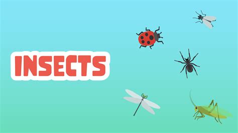 Cyprus, The Cypriots, and Country Profile - LearningMole - habitat of insects