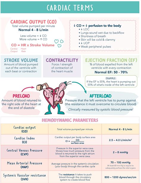 Cardiac Output, Preload, Afterload, Stroke Volume & Hemodynamic Parameters