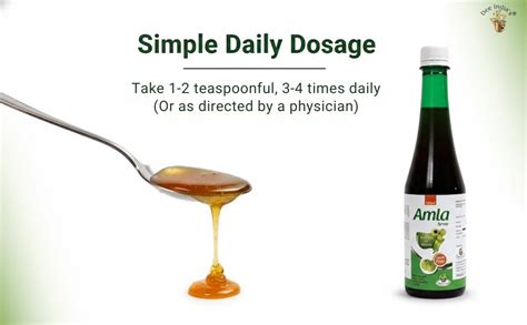 Buy DEE INDIA HERBALS Amla Syrup(500ml) (Pack of 12) Online at Low ...