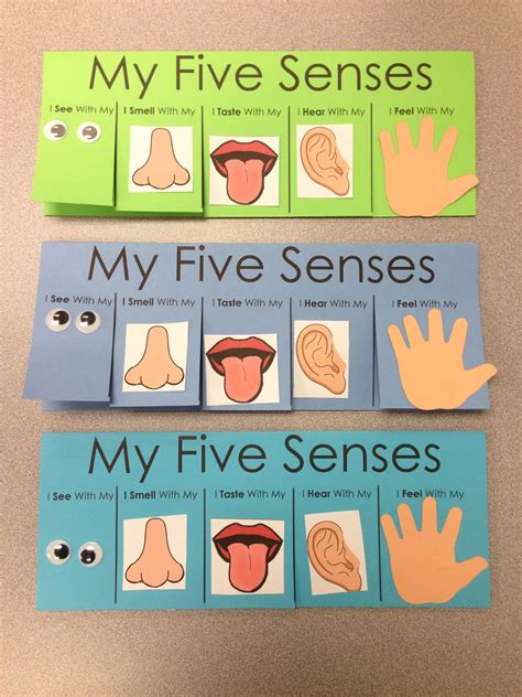 My Five Senses Book Free Printable - Printable Word Searches