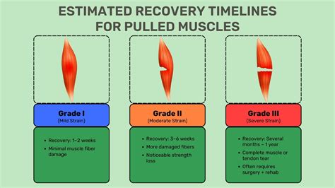 How to Speed Up Pulled Muscle Recovery With Proven Methods ...