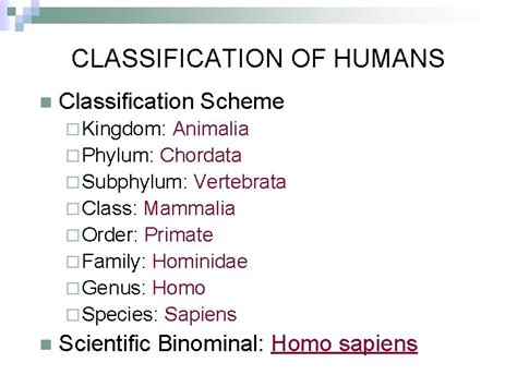 Human Classification Chart 的图像结果