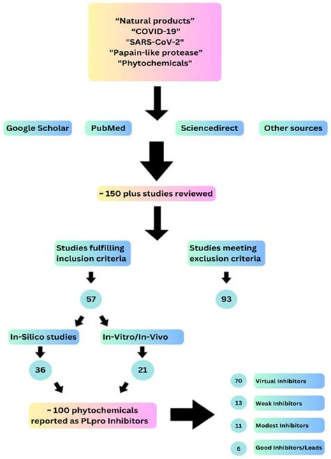 Insights for Future Pharmacology: Exploring Phytochemicals as Potential ...
