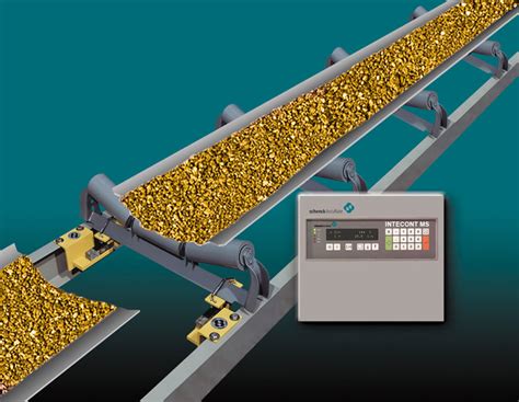 Weighing Systems for Bulk Processing