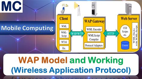 WAP Model and Working | WML Scripts, WTAI, CGI Scripts, Decks, Client, Web Server | Mobile Computing