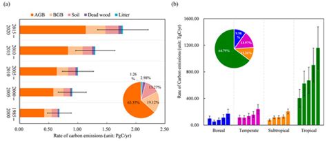 Characterizing the Accelerated Global Carbon Emissions from Forest Loss ...