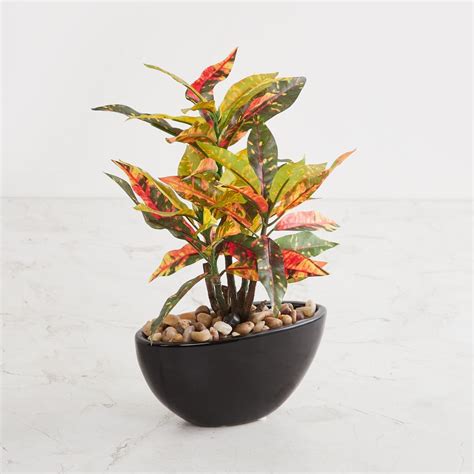 Buy Fourwalls Artificial Croton Bonsai Plant in A Ceramic Pot for Home ...