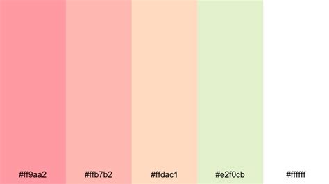 The Best 15 Coral Color Palette Ideas for Video & Design