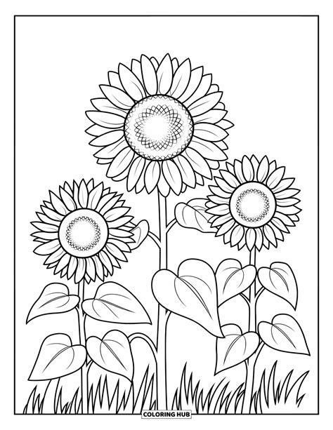 130+ Sunflower Coloring Pages for Kids & Adults (Free Printable PDFs)
