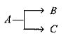 The half - lives of two parallel path reaction are 4 hrs and 12 hrs ...