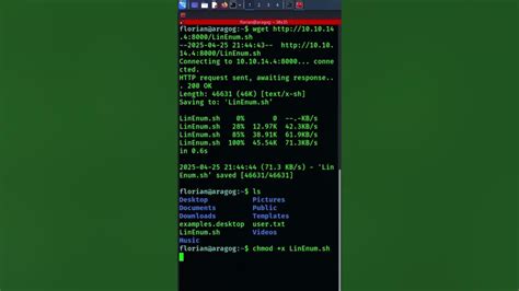 Tutorial Linenum 的图像结果