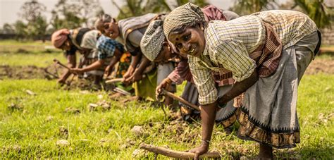 Agriculture In Rural Development