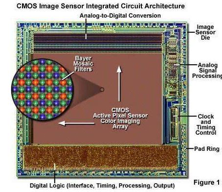 CCD vs CMOS Sensor Camera 的图像结果