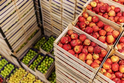 Small-scale farmers produce more of the rich world’s…