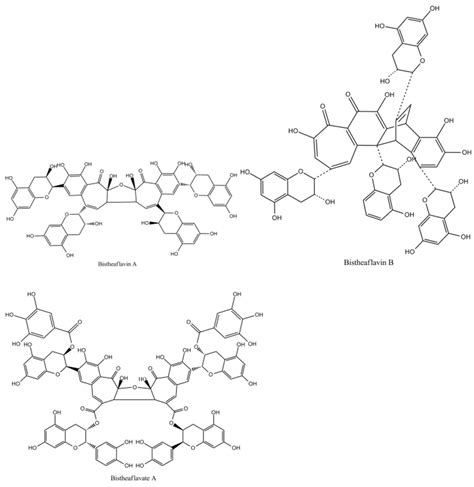 Enzymatic Oxidation of Tea Catechins and Its Mechanism