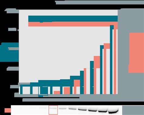 HTRF Human & Mouse Phospho-TBK1 (Ser172) Detection Kit, 500 Assay ...