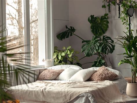 Good Indoor Plants For Bedroom