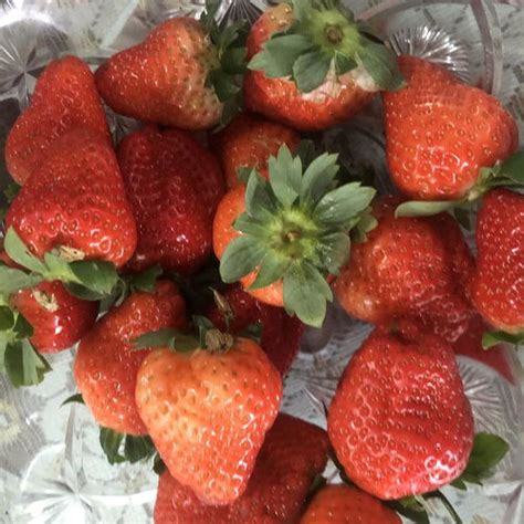 草莓放几天会坏,草莓能放多久-百答号